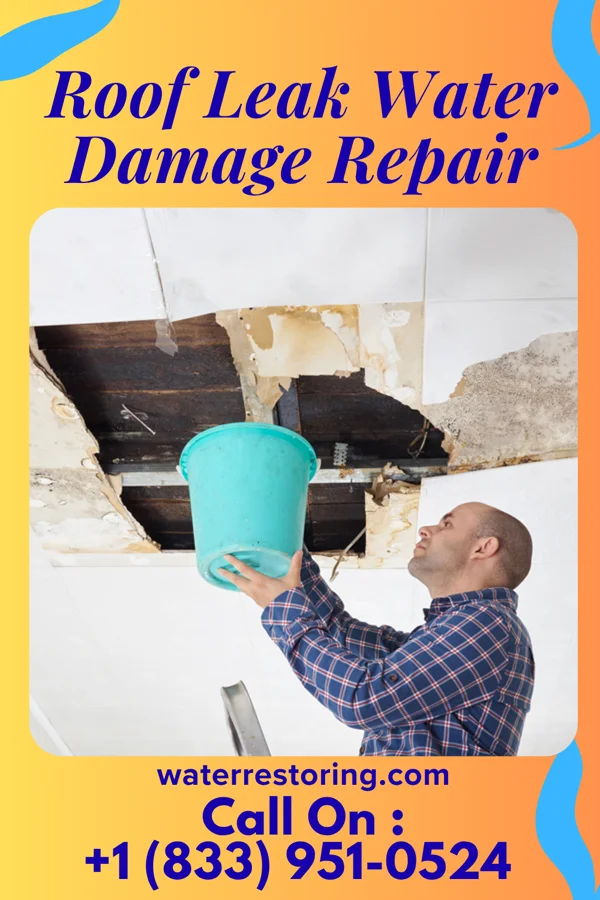 Roof Leak Water Damage Repair in Whitesboro, AL